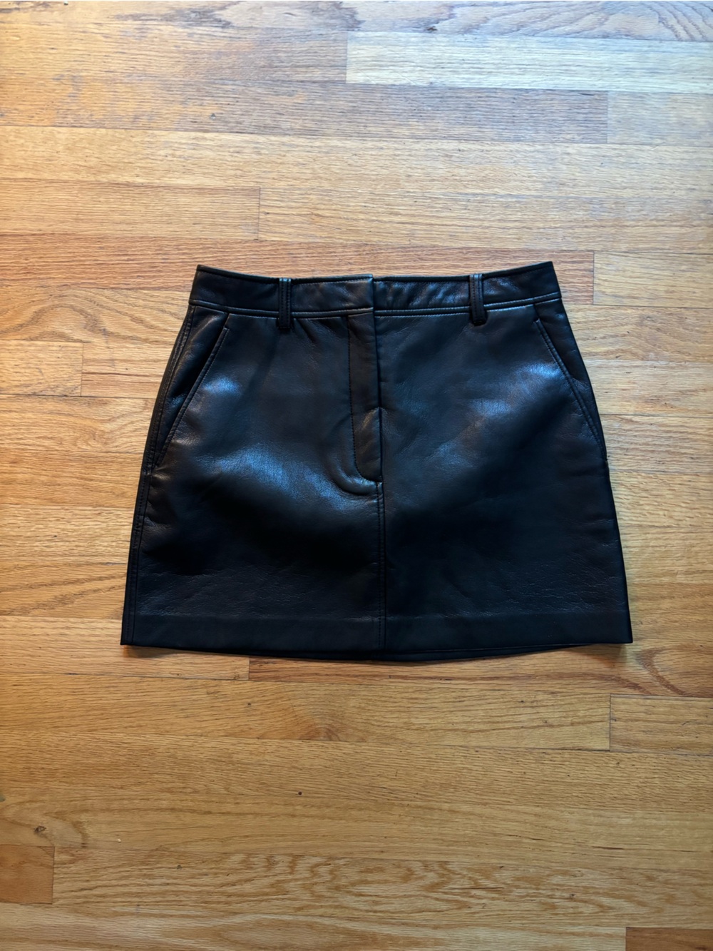 Aritzia- Babaton skirt